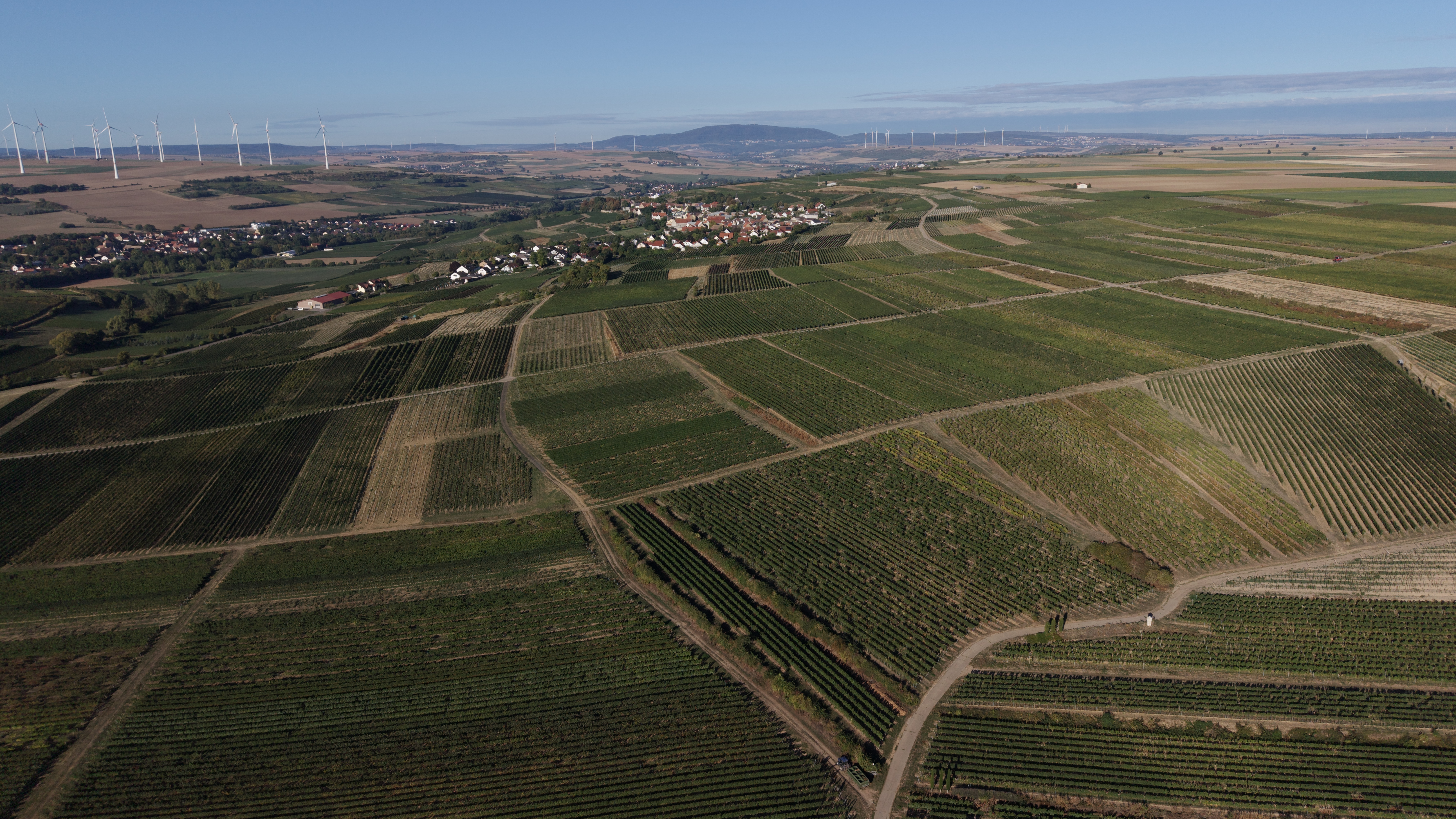 Aerial view of Zellertal’s vineyards and villages, looking towards the Donnersberg